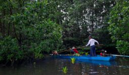Kembangkan Mangrove, Pupuk Kaltim Raih Penghargaan AREA 2021 - JPNN.com