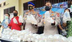 Polda Banten Amankan Benur Senilai Rp 2,5 Miliar - JPNN.com