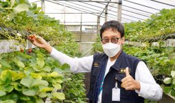 Hebat! Petani Milenial Gobleg Bali Sukses Padukan Pertanian Organik dan Smart Farming - JPNN.com