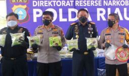 Penyelundupan Sabu Hampir Setengah Kwintal Digagalkan Bea Cukai Bersama Kepolisian di Riau - JPNN.com