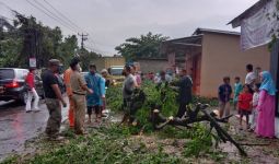 Hujan Lebat, Belasan Pohon Tumbang Menimpa Rumah Sampai Mobil di Depok - JPNN.com