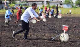 Menanam Jagung di Sorong, Jokowi: Ini Lahan yang Sangat Luas - JPNN.com