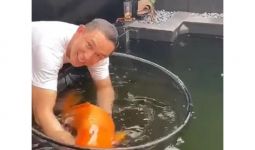 Kompol Beddy, Polisi Viral yang Punya Ratusan Ikan Koi, Ada yang Unik - JPNN.com