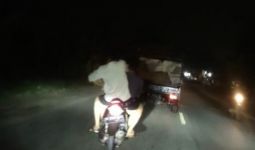 Video Bajing Loncat Beraksi di Jalan Soekarno-Hatta Viral, Lihat Tuh Aksinya - JPNN.com