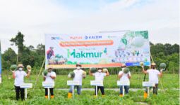 Program Makmur Pupuk Kaltim Tingkatkan Produktivitas Melon & Semangka di Kutai Kartanegara - JPNN.com