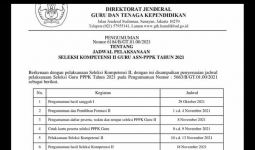 Jadwal PPPK Guru Tahap II, Cara Mendaftar & Ketentuan bagi Peserta Lulus Passing Grade I - JPNN.com