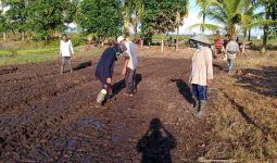 Produktivitas Petani di Kubu Raya Kalbar Meningkat - JPNN.com