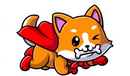 Shiba Inu Si Dogecoin Killer Ada di Rekeningku - JPNN.com