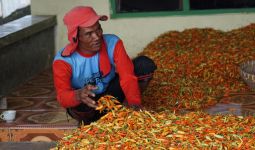 Kementan Dorong Pemasaran Produk Hortikultura Melalui Pasar Lelang - JPNN.com