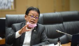 NasDem dan PPP Beda Pendapat Soal Ambang Batas Parlemen Setelah Muncul Putusan MK - JPNN.com
