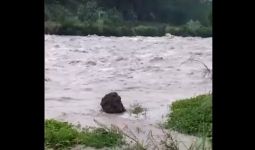 Suho Hilang Terseret Arus Sungai - JPNN.com