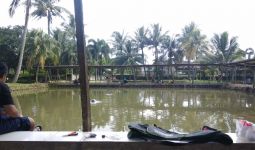 Pemancingan Ikan Makin Ramai, Pengunjung Senang, Pengusaha Untung - JPNN.com