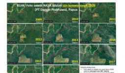KLHK Mengklarifikasi Foto Satelit NASA Menggambarkan Kegundulan Hutan Papua - JPNN.com