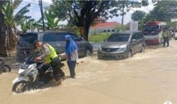 Puluhan Rumah, Jalan, dan Sawah di Gresik Jatim Terendam Banjir - JPNN.com