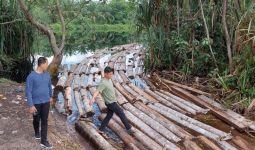 Polda Riau Sikat Anak Jenderal Terlibat Illegal Logging, Mabes Polri Kirim Bantuan - JPNN.com