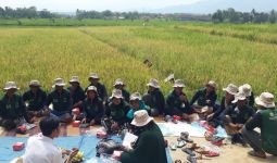 Petani Kuningan Semringah, Produktivitas Panen Meningkat Signifikan - JPNN.com