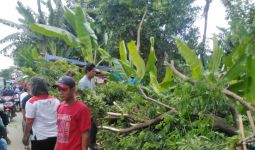 Pohon Tumbang Menimpa Pedagang dan 2 Pengendara Motor di Cipayung Depok - JPNN.com