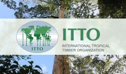 Indonesia Usung Diplomat Senior Ini Jadi Direktur Eksekutif ITTO - JPNN.com