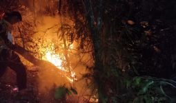 2 Hektare Lahan di Sibolga Terbakar, Polisi Bergerak Melakukan Penyelidikan - JPNN.com