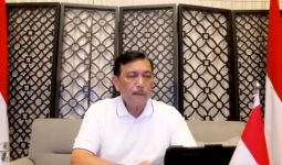 Luhut Binsar: Pejabat Negara Dilarang Melakukan Perjalanan ke Luar Negeri - JPNN.com