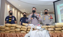 1,5 Ton Ganja untuk Libur Natal dan Tahun Baru - JPNN.com