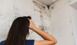 Atasi Masalah Jamur dan Lumut pada Dinding Rumah dengan Cara Ini - JPNN.com
