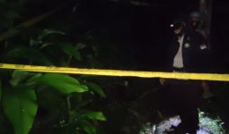 Pohon Kelapa Itu jadi Saksi Bisu Kematian Warga Kulon Progo - JPNN.com