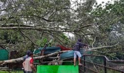 Truk dan Kandang Hewan Kebun Binatang Tertimpa Pohon Tumbang, Begini Kondisinya - JPNN.com