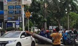 40 Pohon di DKI Tumbang Karena Angin Kencang, Sebegini Jumlah Korban dan Sarana yang Rusak - JPNN.com