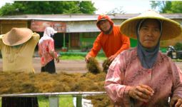 LPEI Resmikan Program Desa Devisa Rumput Laut di Sidoarjo - JPNN.com