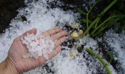Ada Fenomena Ini Sebelum Terjadi Hujan Es di Lampung Barat - JPNN.com