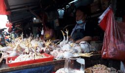 Harga Daging Ayam Potong Meroket, Pedagang Menjerit, Omzet Turun Drastis - JPNN.com