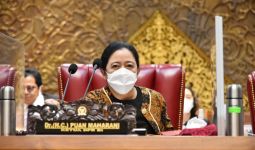 Ujang Komarudin Apresiasi Gagasan Puan Maharani Tentang Petani Milenial - JPNN.com