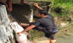 Heboh Penemuan Ikan Raksasa di Lokasi Banjir, Tuh Lihat Fotonya - JPNN.com
