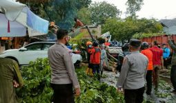 Semarang Dilanda Angin Kencang, 3 Mobil Tertimpa Pohon Tumbang - JPNN.com