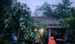 Angin Kencang Akibatkan Rumah Rusak & Pohon Tumbang di Trenggalek - JPNN.com