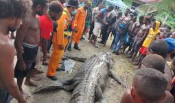 Geger Potongan Tubuh Warga Ayuka di Dalam Perut Buaya Raksasa - JPNN.com