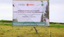 SiCepat Ekspres Tanam 20 Ribu Bibit Pohon Cemara Udang di Pesisir Pantai Pangandaran - JPNN.com