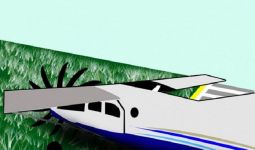 Detik-Detik Pesawat Jatuh Lalu Menabrak Pohon Pisang - JPNN.com