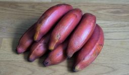 4 Manfaat Pisang Merah, Kolesterol Langsung Ambyar - JPNN.com