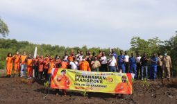 Sambut HUT ke-50, Basarnas Maumere Gelar Aksi Penanaman Mangrove - JPNN.com