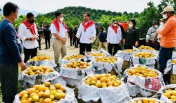 Lihat, Jokowi Datangi Desa yang Warganya Antarkan 3 Ton Jeruk ke Istana Kepresidenan - JPNN.com