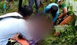 1 Warga Inhil Tewas Diduga Akibat Diterkam Harimau Sumatera, Kondisi Mengenaskan - JPNN.com