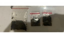 Bea Cukai Bogor Tindak Peredaran Narkoba Jenis Synthetic Cannabinoid - JPNN.com