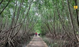 Peserta KTT G20 Akan Disuguhkan Pemandangan Kawasan Mangrove Asli Indonesia - JPNN.com