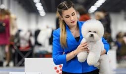 Jie-Jie Wakili Asia dalam CRUFTS 2022 Dog Show di Inggris - JPNN.com