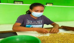 Makan Kedelai Bikin Penderita Asam Urat Makin Parah? - JPNN.com