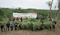 Bea Cukai, Polisi, dan TNI Temukan Ladang Ganja di Aceh, Beratnya 40 Ton - JPNN.com