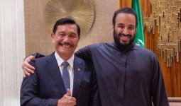 Luhut Binsar Bertemu dengan Putra Mahkota Arab Saudi, Ada Investasi untuk IKN? - JPNN.com