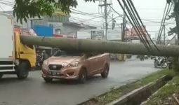 Angin Kencang Terjang Jabodetabek, Pohon Tumbang di Pamulang, 4 Orang Terluka - JPNN.com
